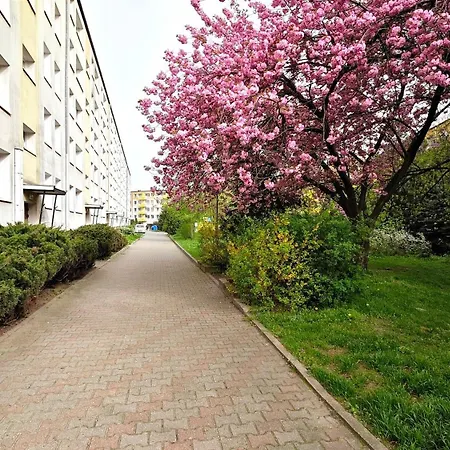 Pod Lipami Homely By Bookinghost *