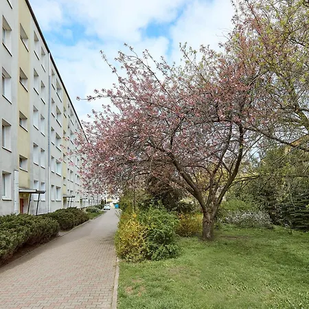 Pod Lipami Homely By Bookinghost Appartamento Poznań