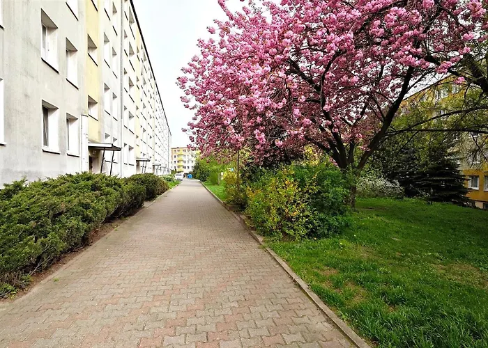 Pod Lipami Homely By Bookinghost *